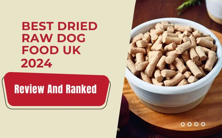 8 Best Dried Raw Dog Food UK 2024: Review & Ranked